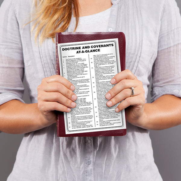 Doctrine and Covenants D&C At A Glance Chart - Shop Ringmasters
